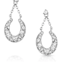 Montana Silversmiths Intentional Luck Crystal Drop Earrings