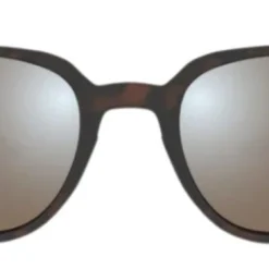 Bex - Lind Brown Sunglasses