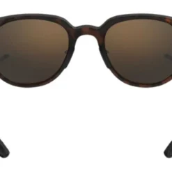 Bex - Lind Brown Sunglasses -Deals Bijou Flare Store 2922690 4 01686.1698423027